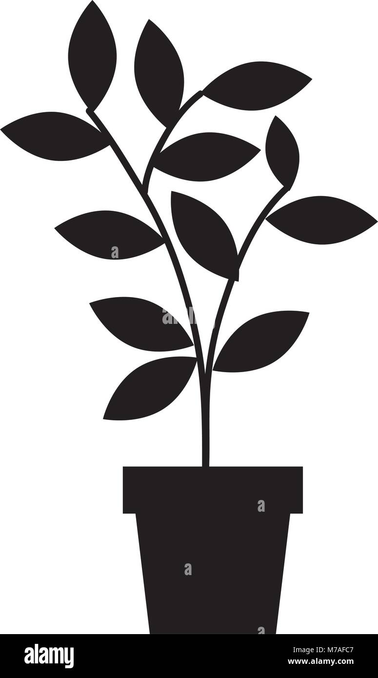 house plant in pot Stock Vector Image & Art - Alamy