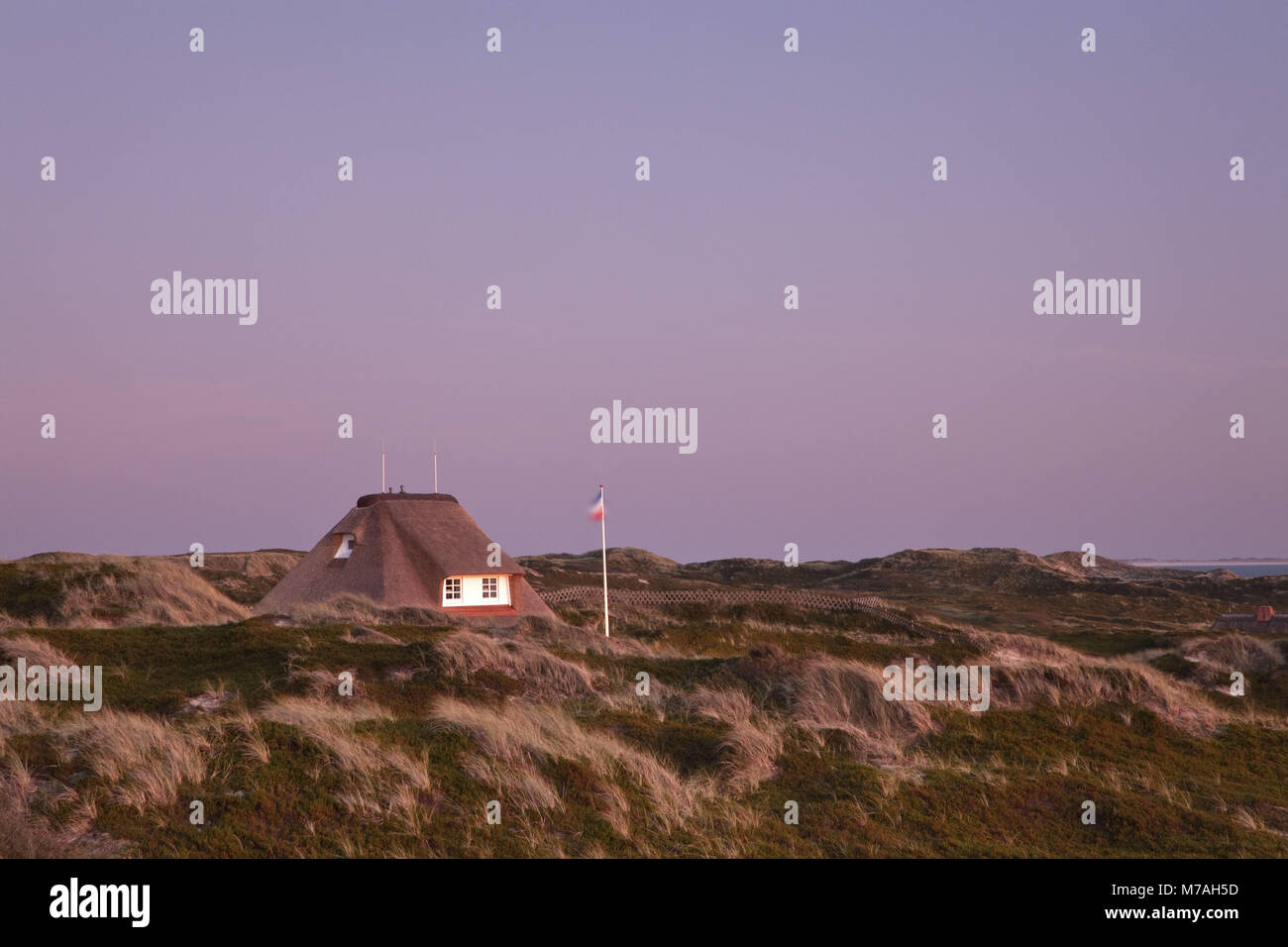 Thatched-roof houses in Hörnum, island Sylt, Schleswig - Holstein, Germany, Stock Photo