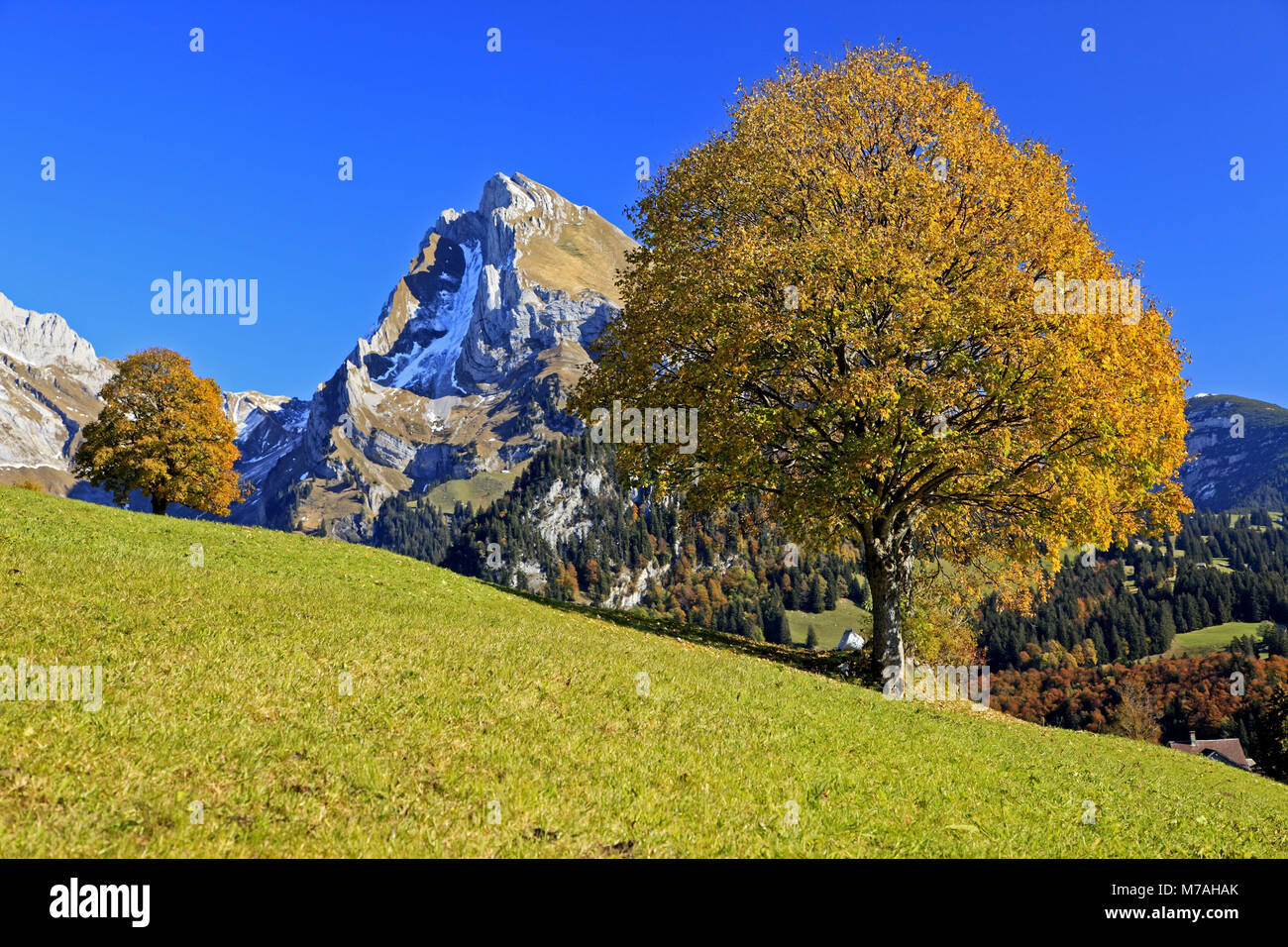 Switzerland, Swiss alps, Appenzell, St Gallen, Altmann, Alpstein massif, Stock Photo