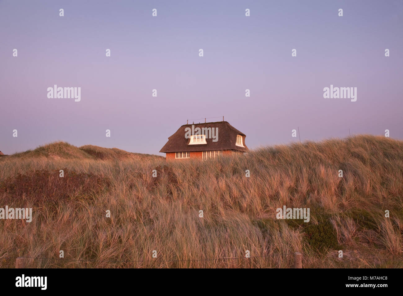 Thatched-roof houses in the dunes in Hörnum, island Sylt, Schleswig - Holstein, Germany, Stock Photo