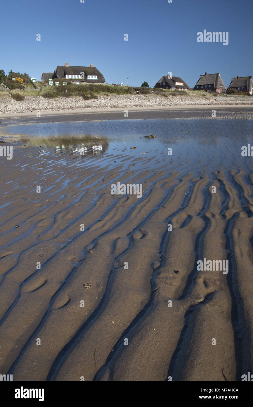 Thatched-roof houses at the North Sea at low tide, List, island Sylt, Schleswig - Holstein, Germany, Stock Photo