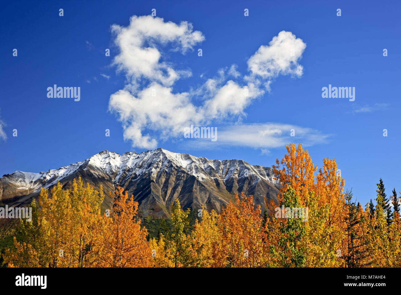 North America, the USA, Alaska, the central south, Wrangell Mountains, Wrangell Saint Elias National Park and Preserve, McCarthy, Bonanza Ridge, Stock Photo