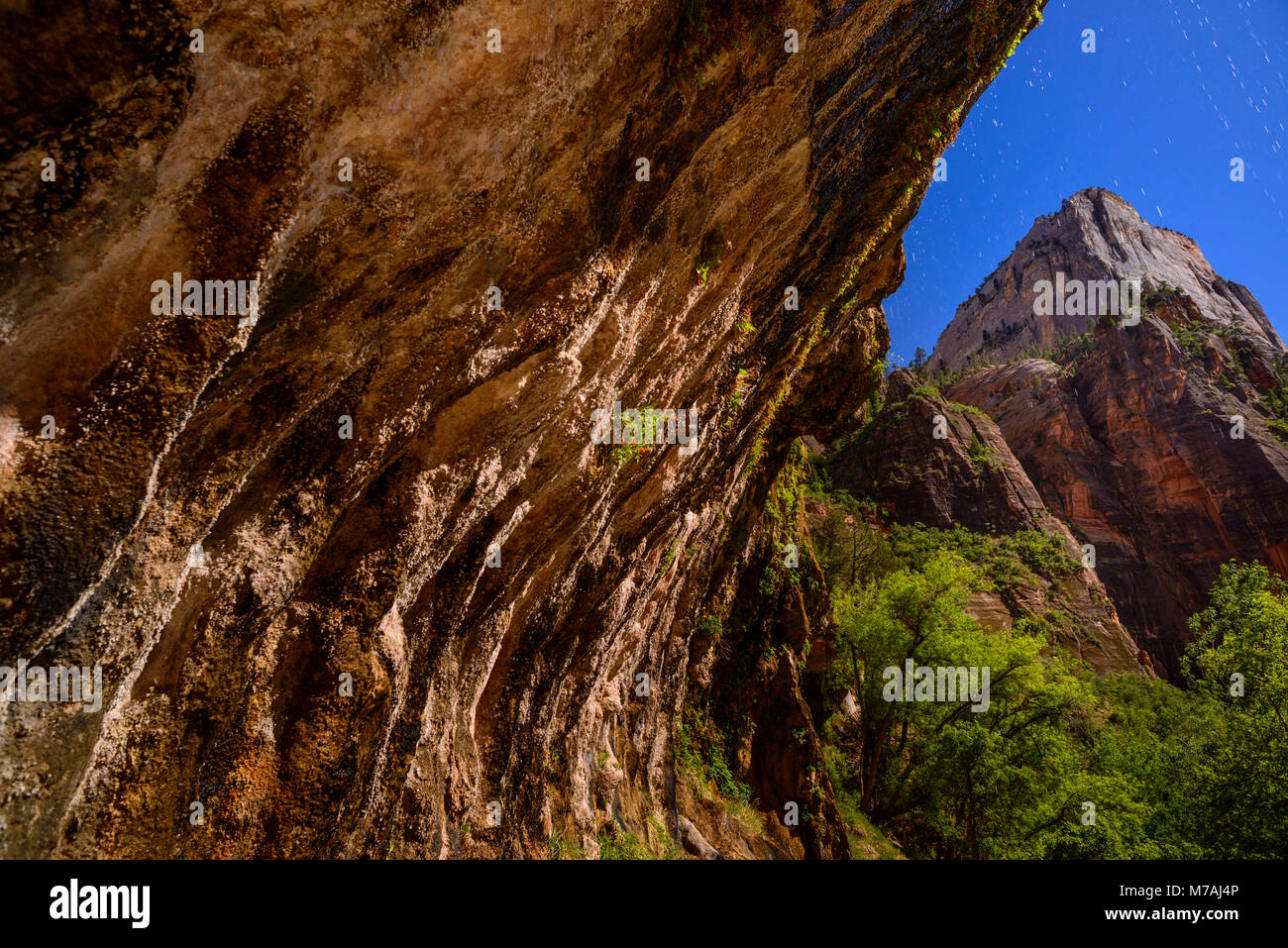 The USA, Utah, Washington county, Springdale, Zion National Park, Zion canyon, weeping rock Stock Photo