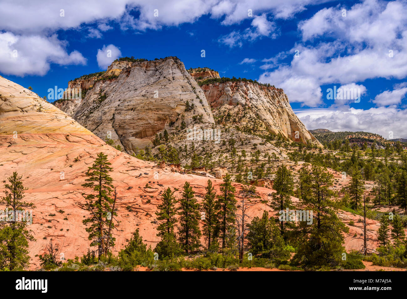 The USA, Utah, Washington county, Springdale, Zion National Park, part of town, scenery at the Zion - Mount Carmel Highway Stock Photo