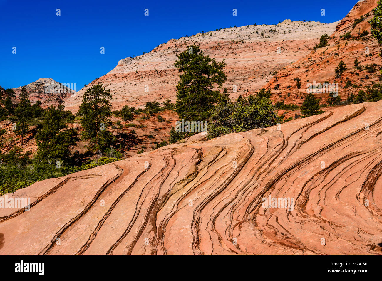 The USA, Utah, Washington county, Springdale, Zion National Park, part of town, scenery at the Zion - Mount Carmel Highway Stock Photo