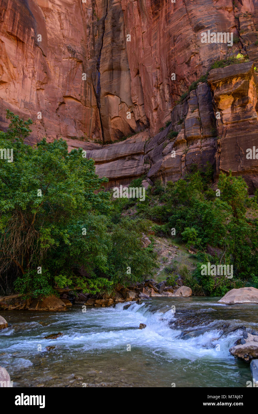 The USA, Utah, Washington county, Springdale, Zion National Park, Zion canyon, Virgin River at