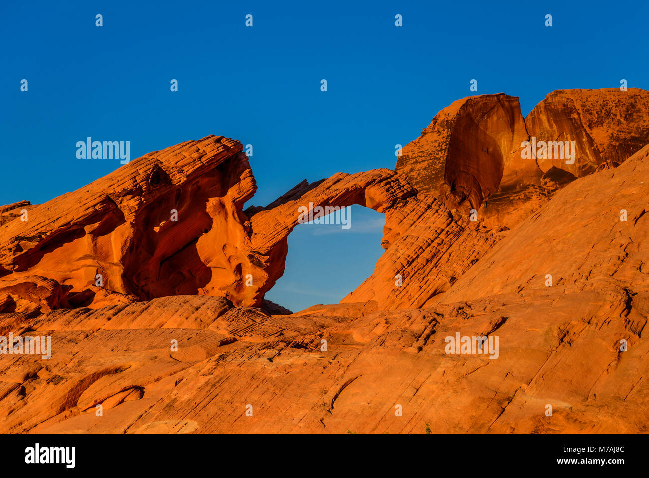 The USA, Nevada, Clark County, Overton, Valley of Fire State Park, Arch Rock in the evening light Stock Photo