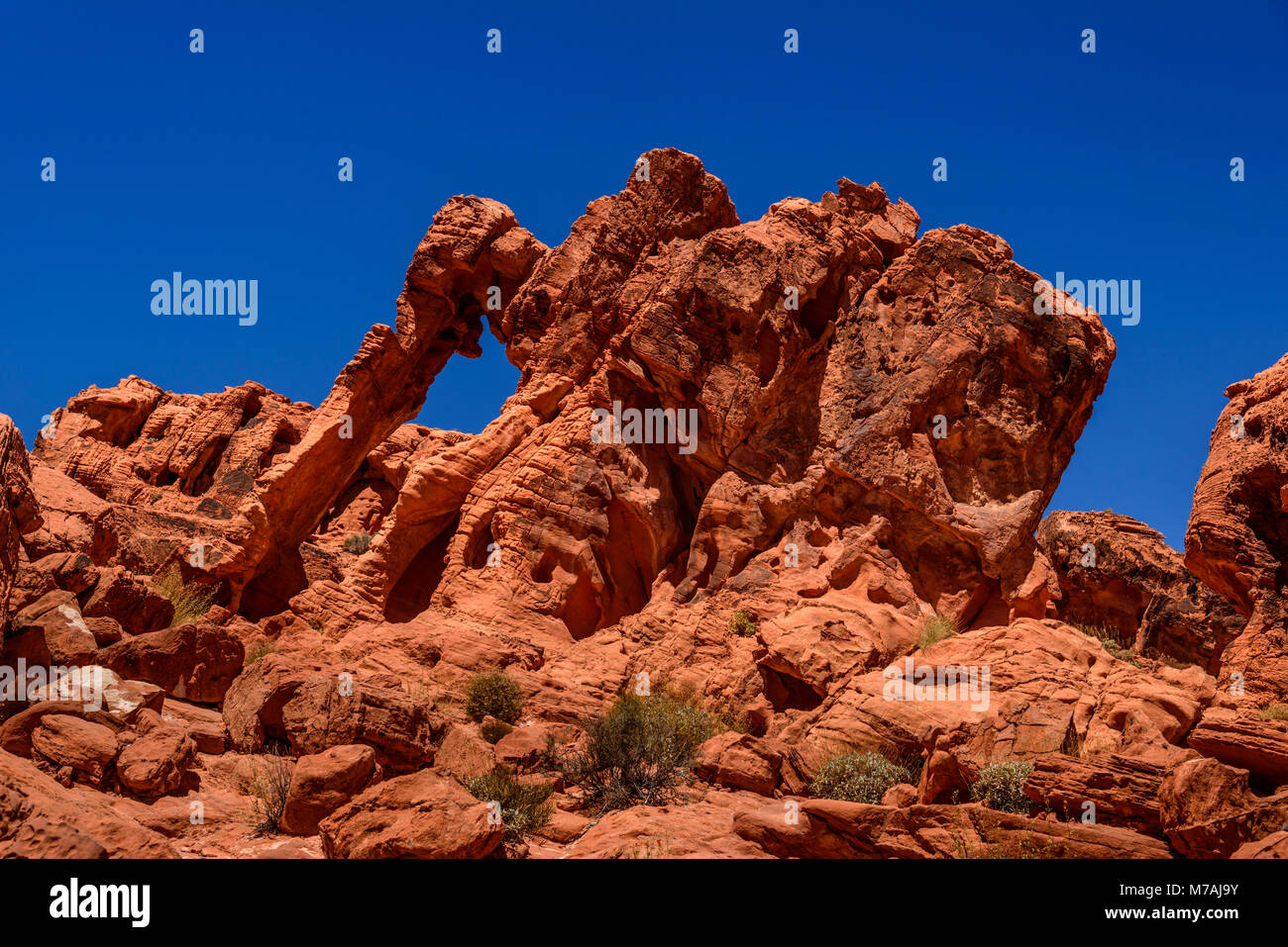 The USA, Nevada, Clark County, Overton, Valley of Fire State Park, Elephant rock Stock Photo