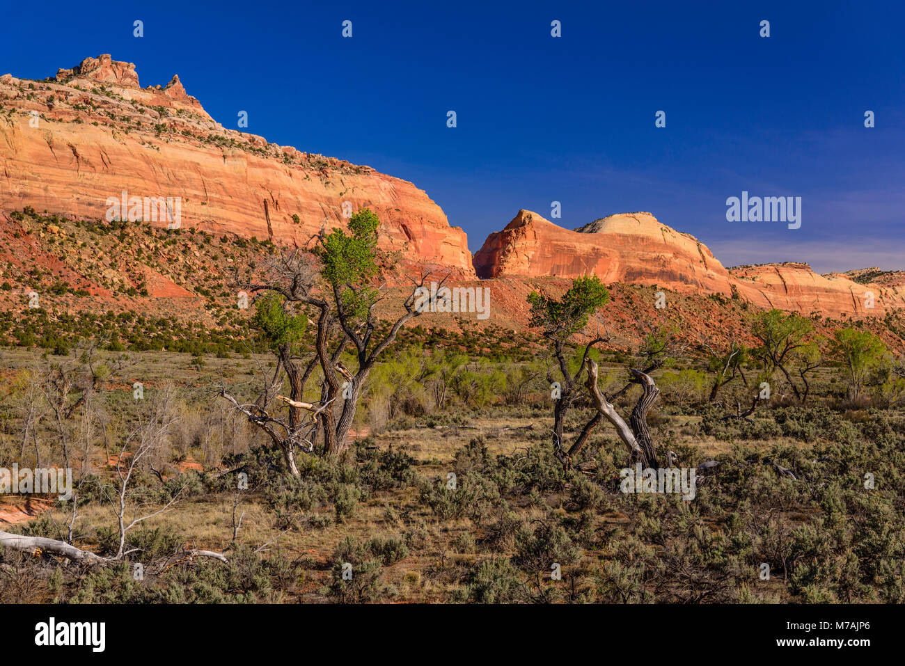 The USA, Utah, San Juan county, Blanding, highway 95, Scenic Byway 95, Comb Wash Valley with