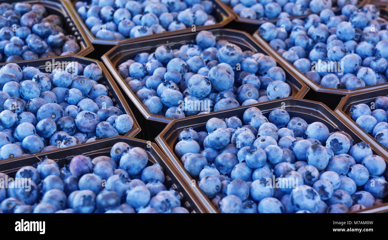 Selling blueberries Stock Photo