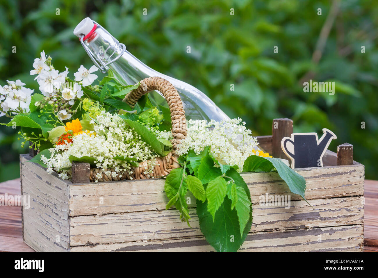 Herbs, herbal schnapps Stock Photo