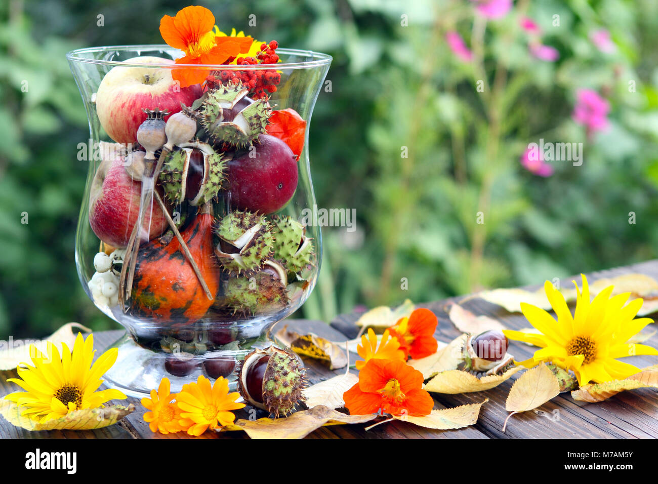 Autumnally decorated glass Stock Photo