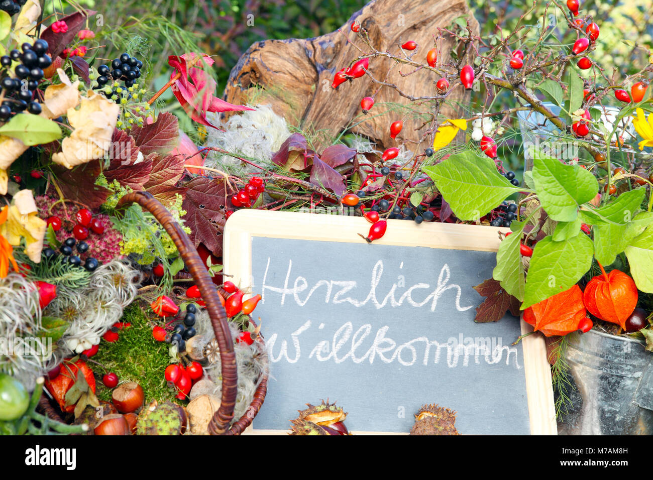 Herzlich Willkommen' (Welcome) Stock Photo
