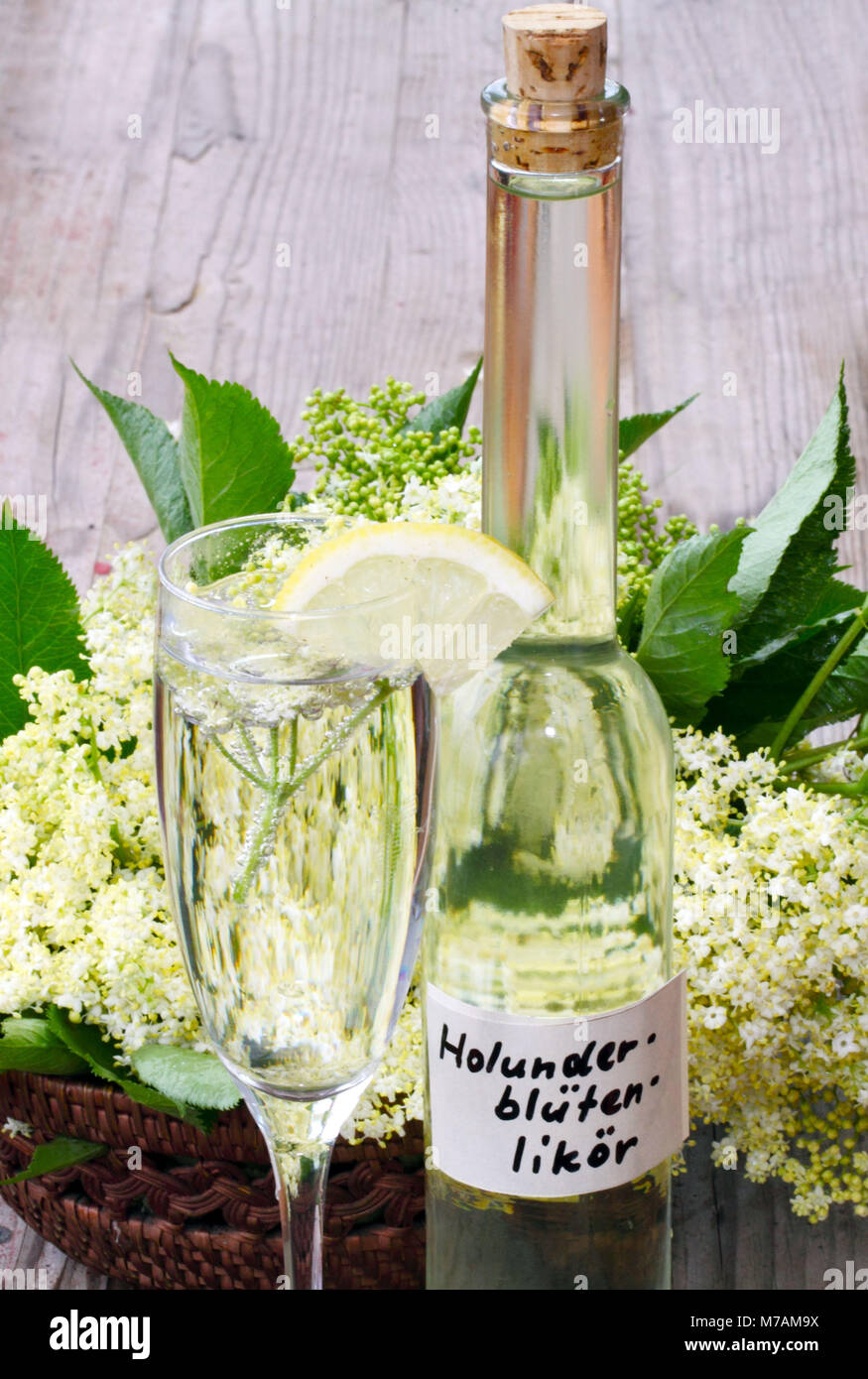 Hugo' (cocktail) with 'Holunderblütenlikör' (elderflower liqueur) Stock Photo