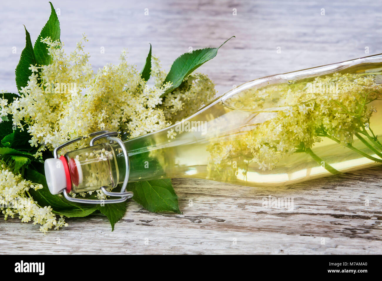 Elderflower juice, sparkling elderflower wine Stock Photo
