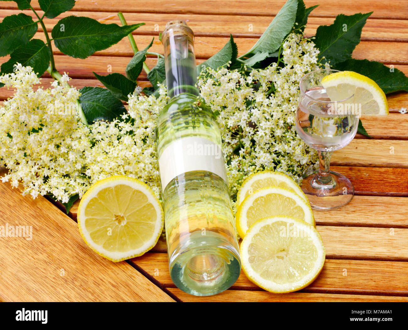 Home-made elderflower liqueur Stock Photo