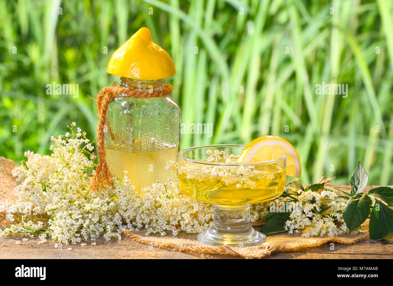 Home-made elderflower syrup Stock Photo