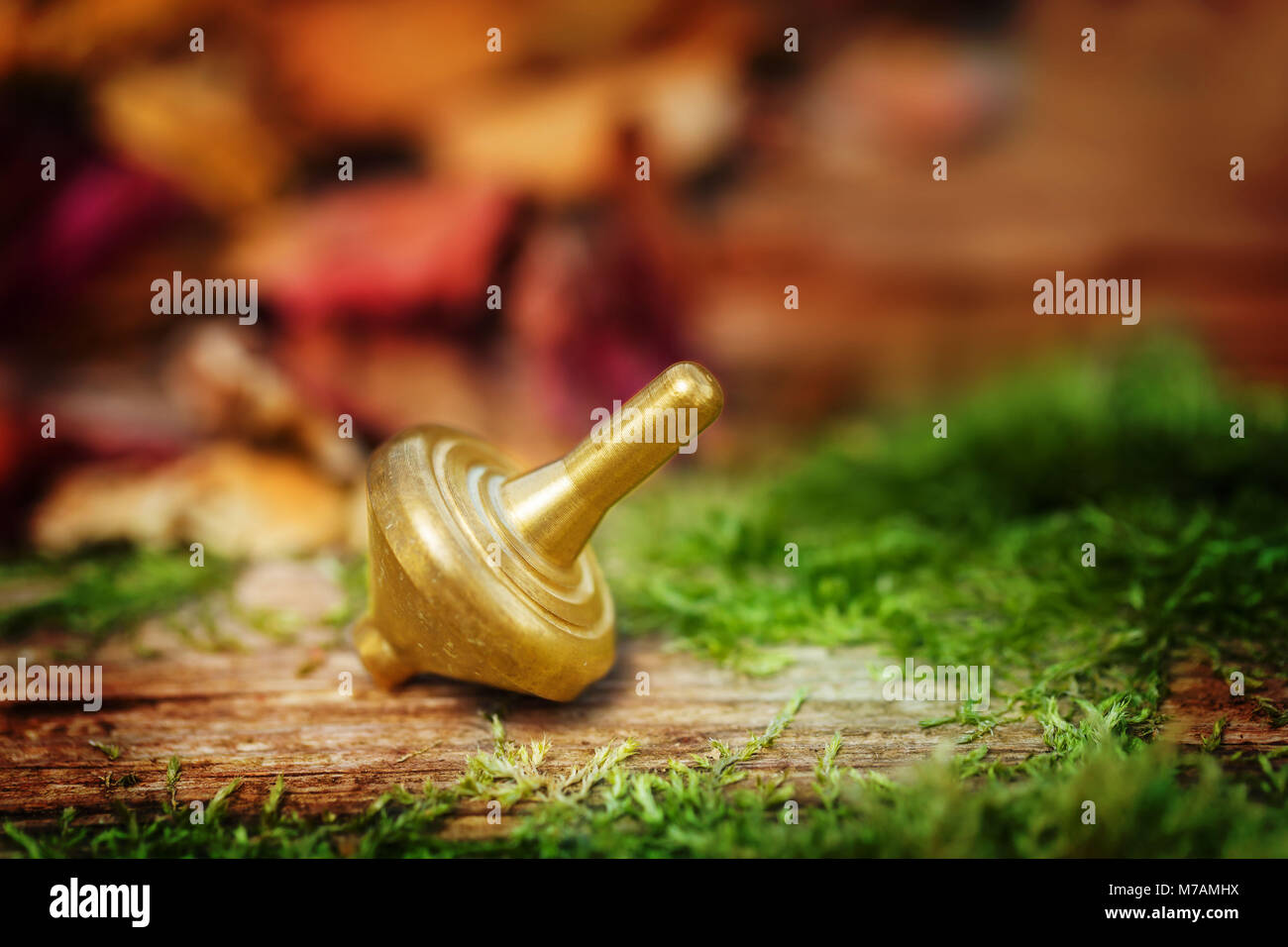 Pendulum, spinning top on moss-covered wood Stock Photo