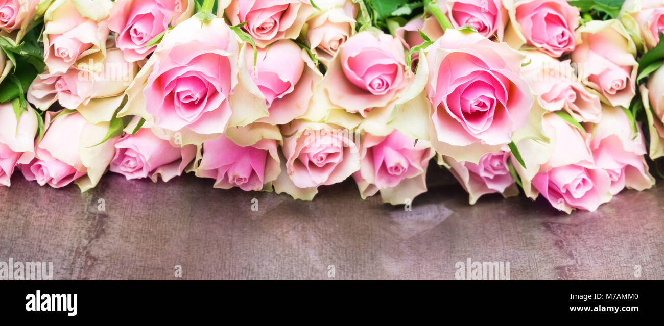 Dusky pink roses, Valentine's Day Stock Photo - Alamy