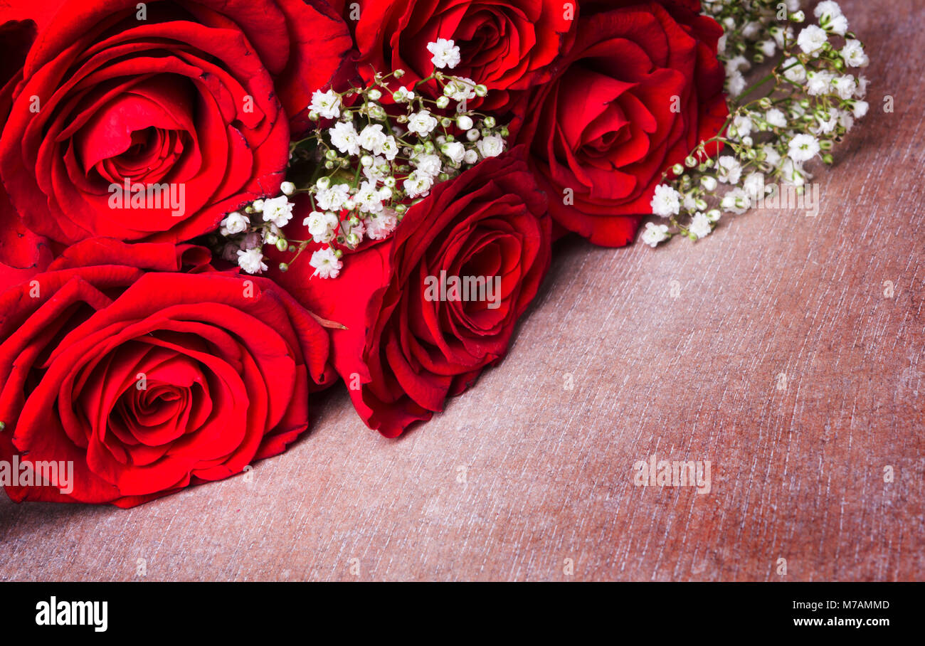 Red roses and gypsophila Stock Photo