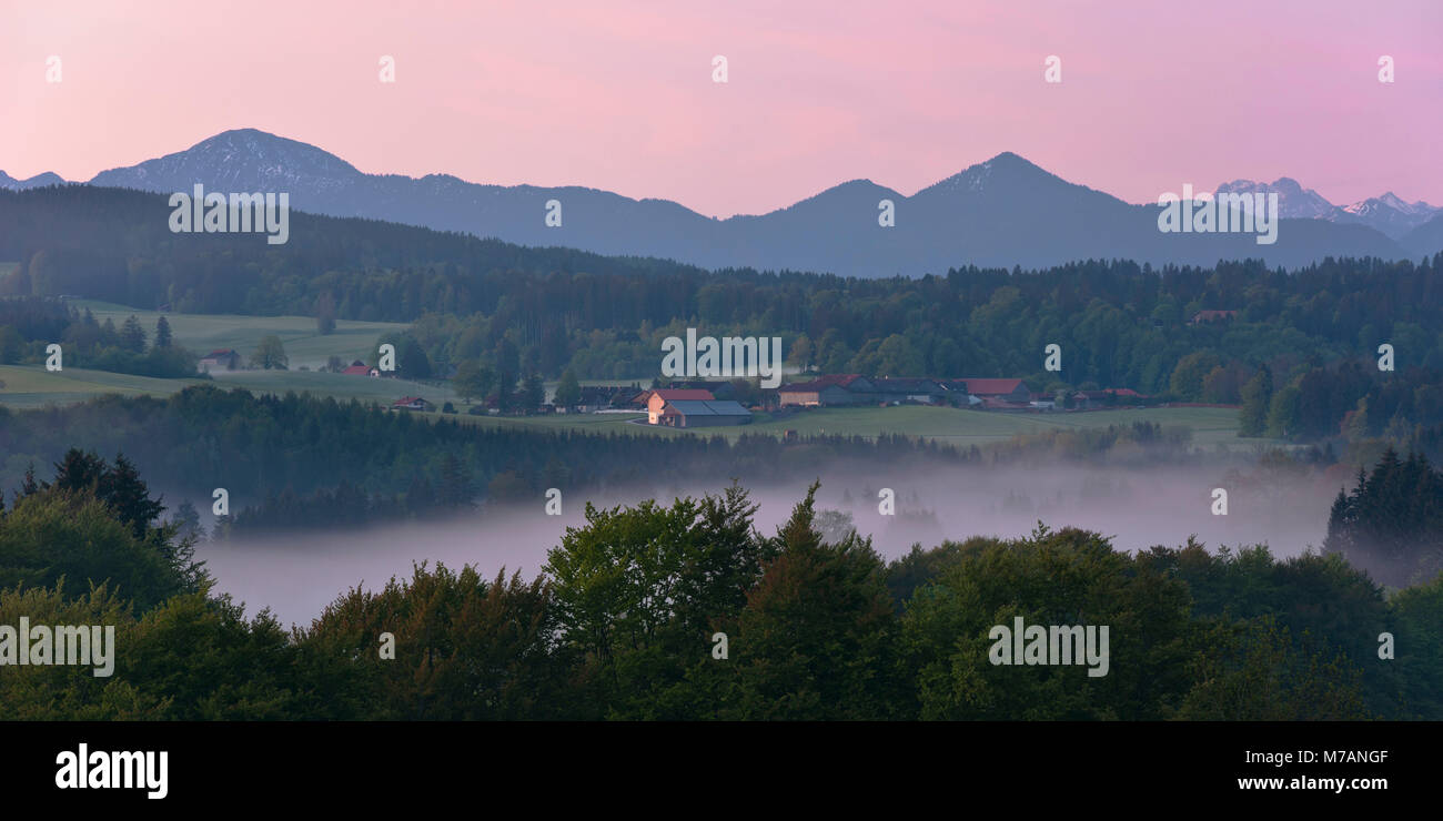 Allgäu region at dawn, Bavaria, Germany Stock Photo