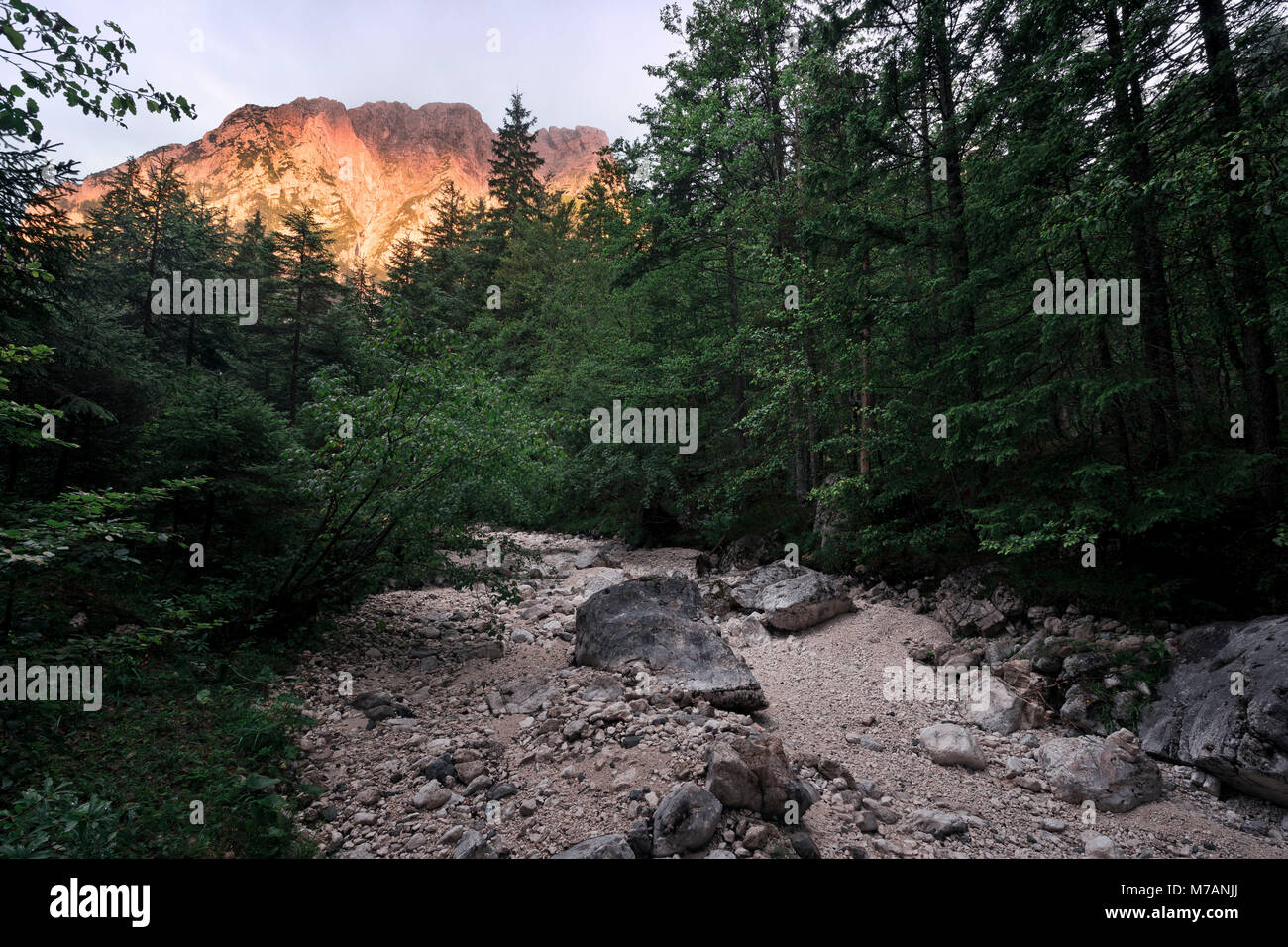 Alpine glow at Stenar mountain in Triglav National Park, Slovenia Stock Photo