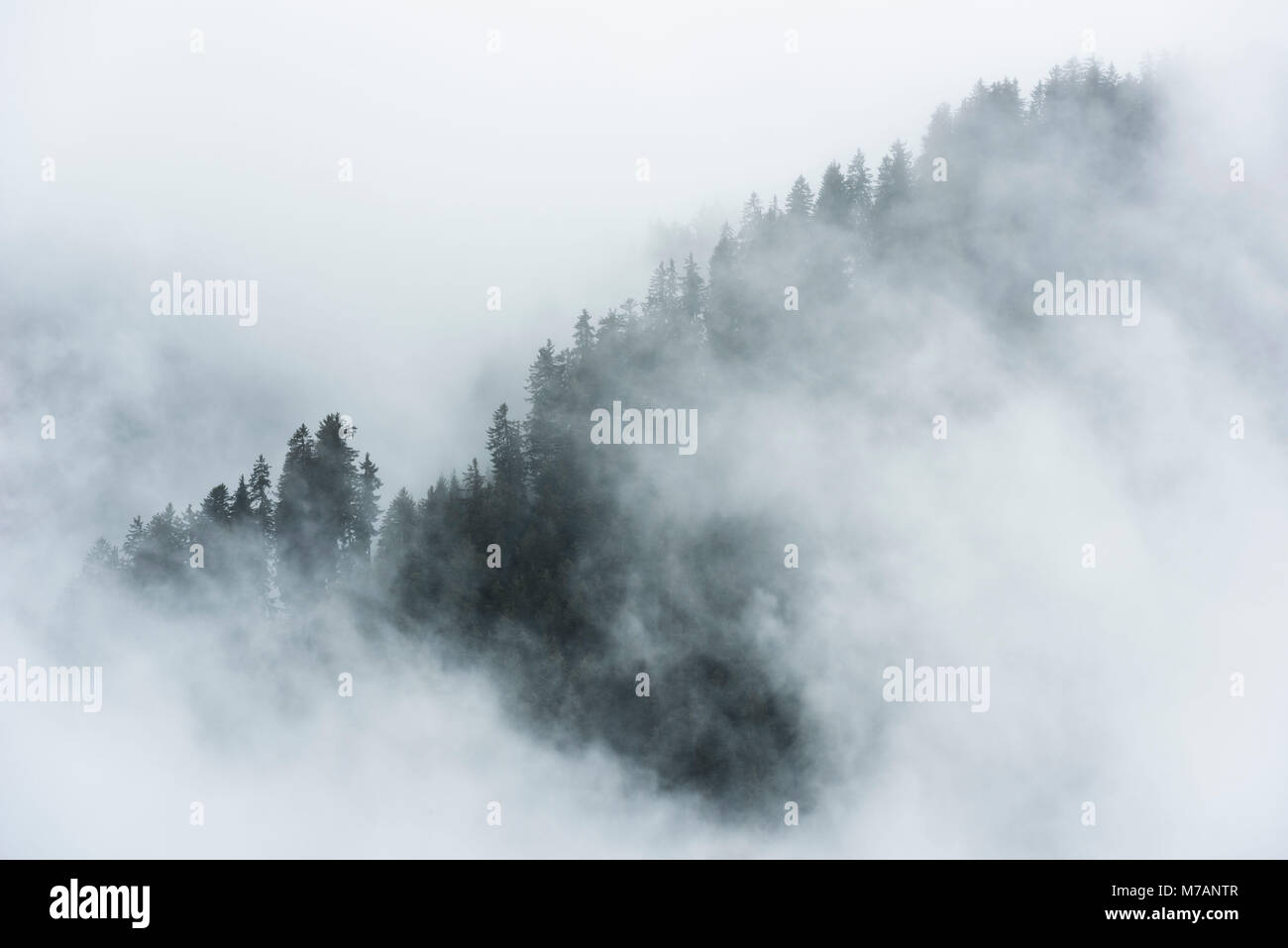 Misty mood in the Dolomite Alps with telephoto lens, Italy Stock Photo