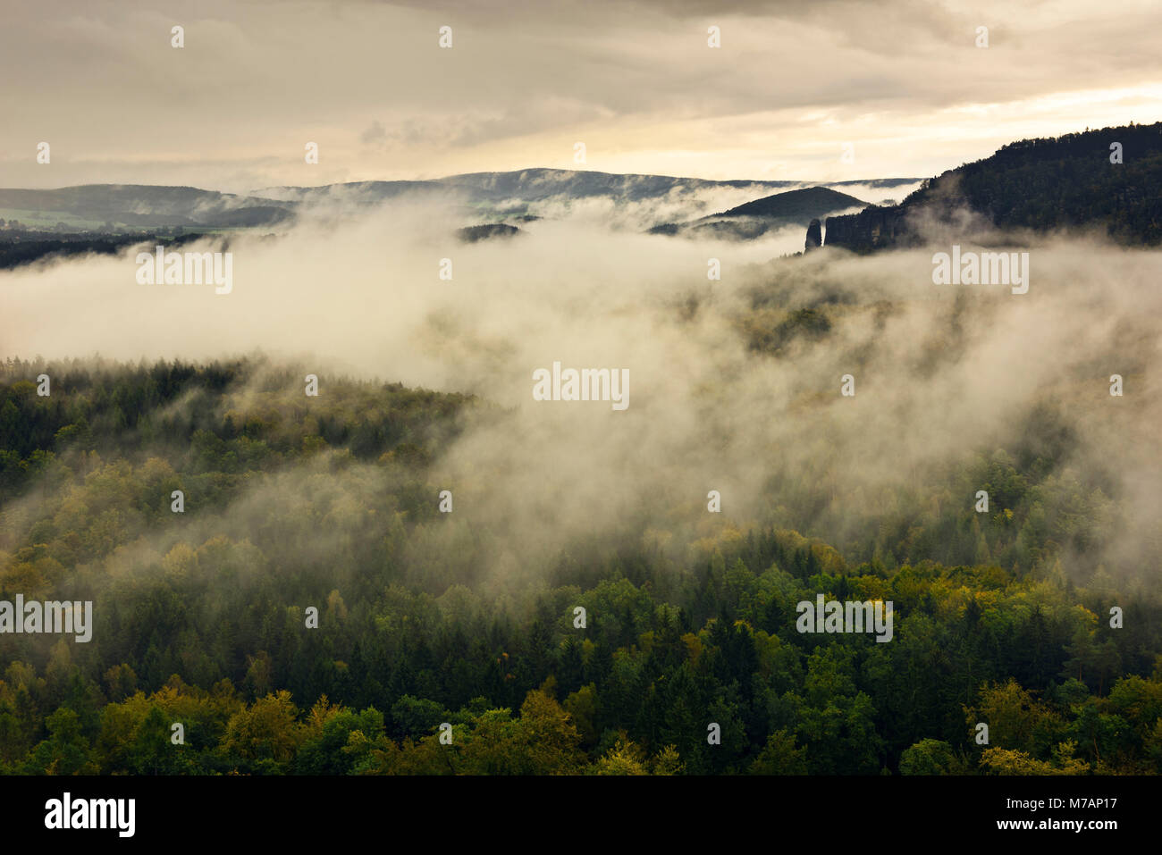 View with fog near the Schrammsteine (group of rocks), Saxon Switzerland, Saxony, Germany Stock Photo
