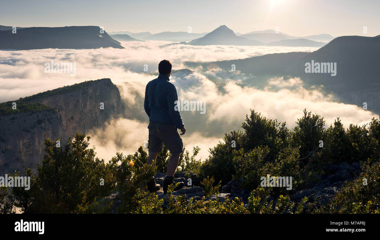 Person in front of the Grand Canyon du Verdon in the French Alps in early morning light, sea of ??fog, atmospheric, picturesque Stock Photo