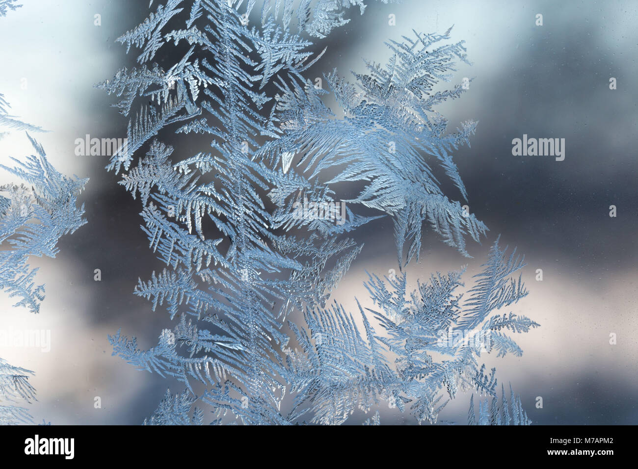 Ice Crystals In Window Glass High Resolution Stock Photography And Images Alamy Ice Crystals In Window Glass High Resolution Stock Photography And Images Alamy