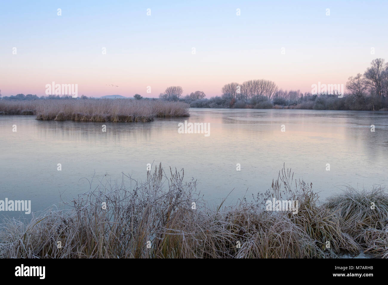 Reinheimer teich hires stock photography and images Alamy
