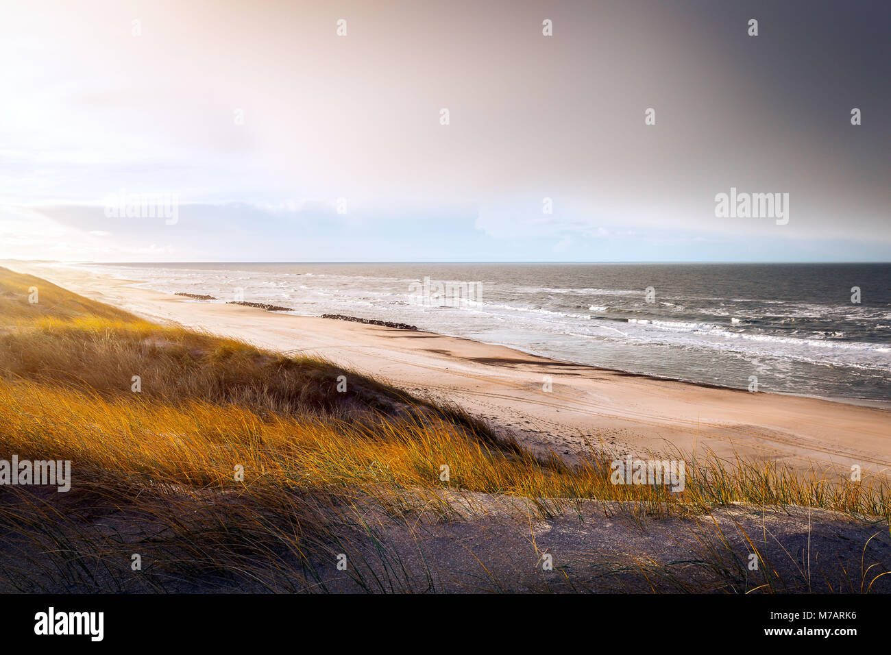 Dunes at Hvide Sande beach Stock Photo