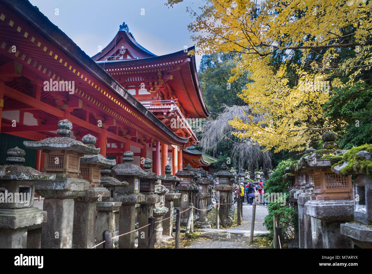 Japan, Nara City, Kasuga Taisha Shinto Shrine, Stock Photo