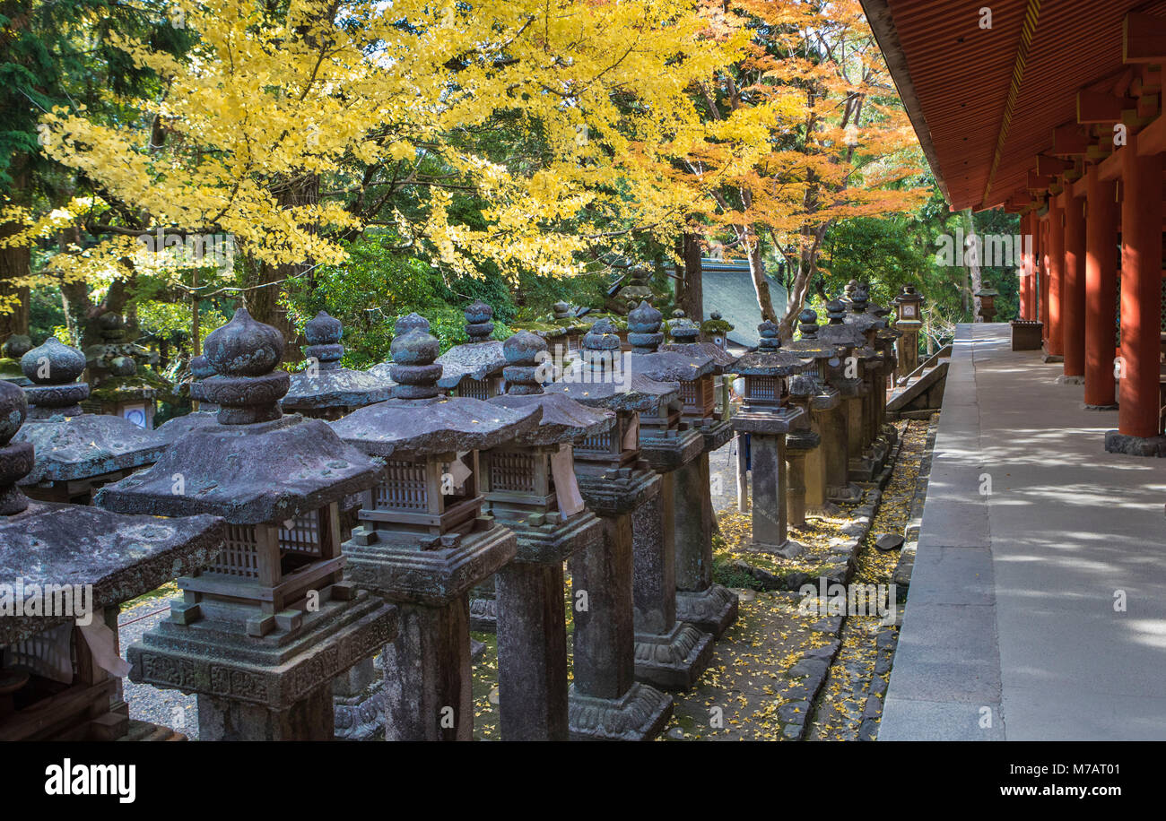Japan, Nara City, Kasuga Taisha Shinto Shrine, Stock Photo