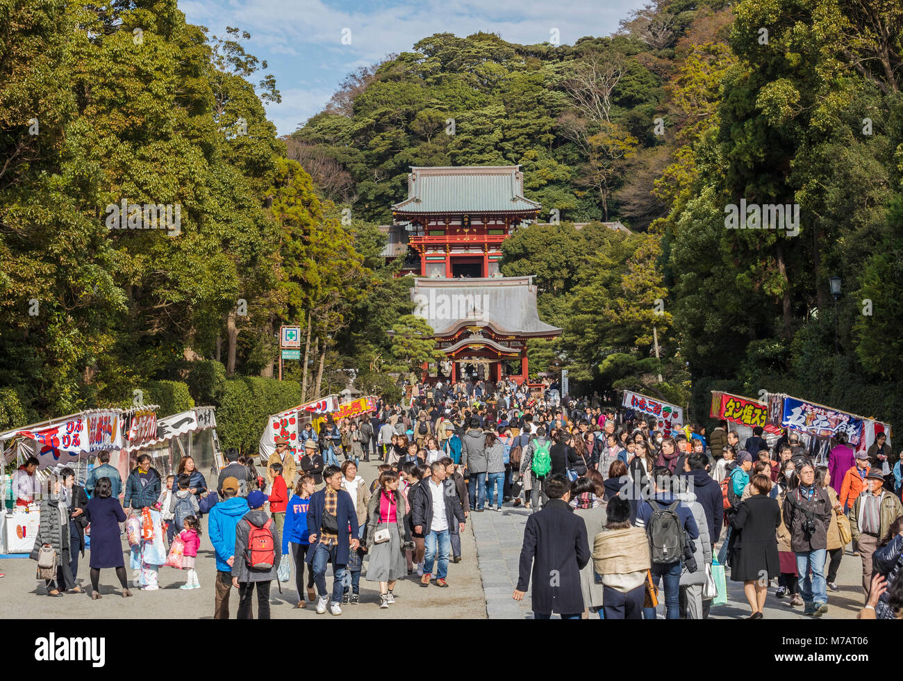 Japan  Kamakura City, Tsurugaoka Hachimangu Shrine Stock Photo