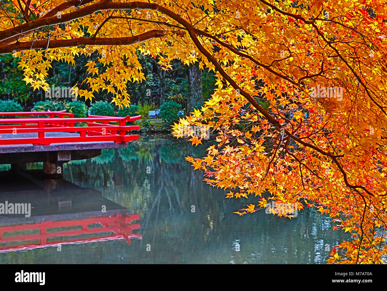 Japan, Nara City, Autumn Colors Stock Photo