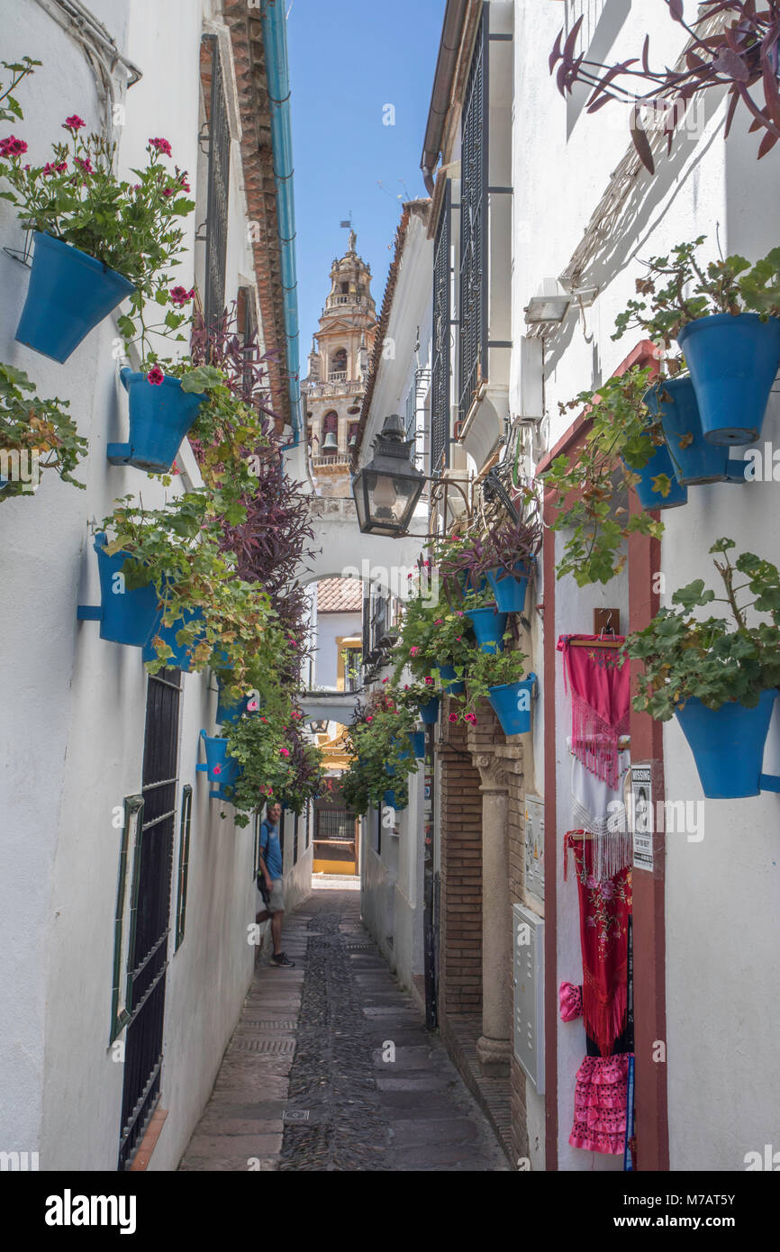 Spain, Andalucia, Cordoba City, Flowers Street Stock Photo