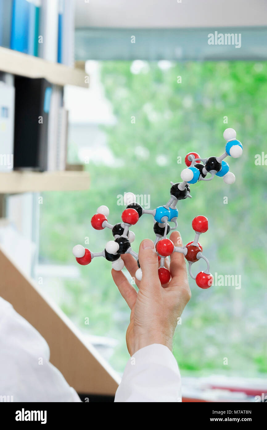 Doctor holding a molecular model in a laboratory Stock Photo