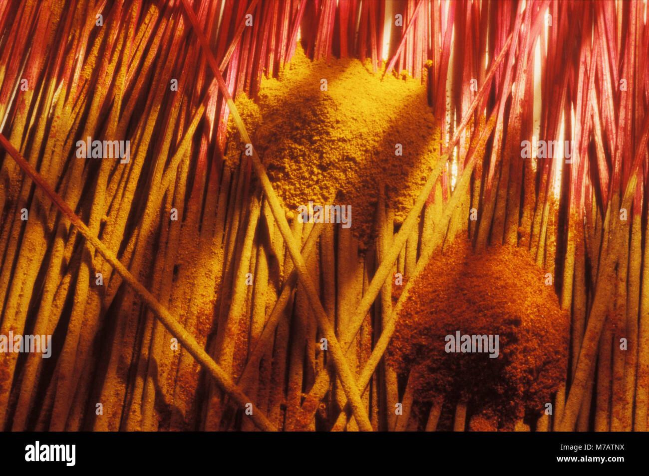 Incense sticks horizontal hi-res stock photography and images - Alamy