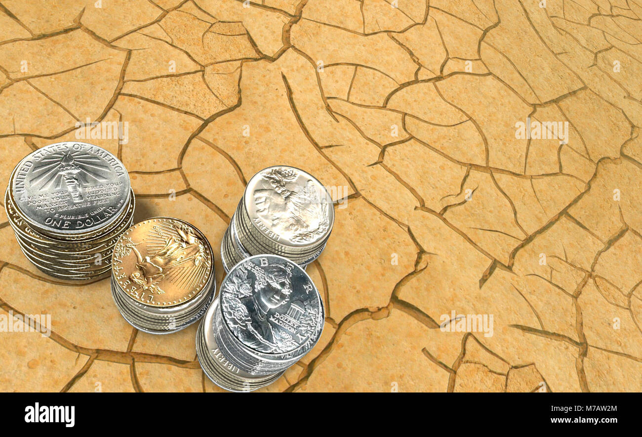 Cracked sand dollar hi-res stock photography and images - Alamy