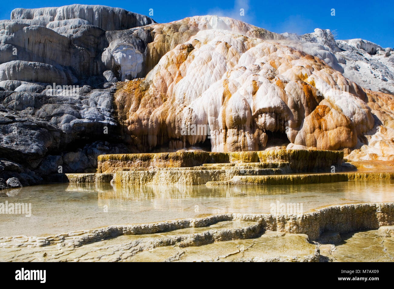 Hot Spring Rocks Reflection of rocks in water, Mammoth Hot Springs, Yellowstone National ...