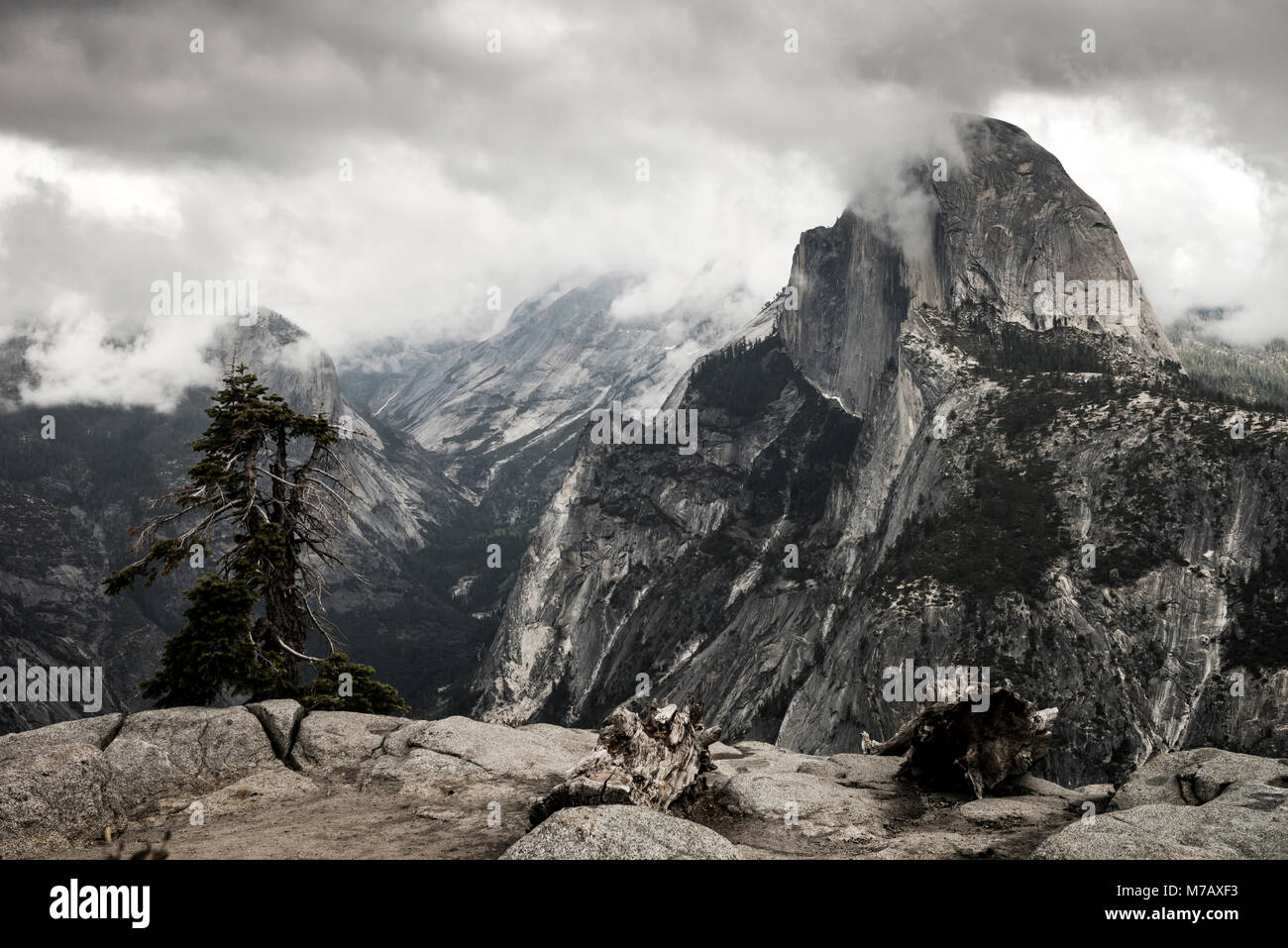 Yosemite, Glacier Point, Foggy morning Stock Photo