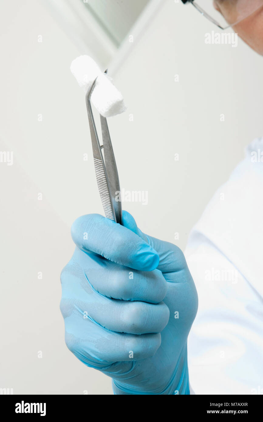 Close up of a dentist holding cotton in forceps hires stock