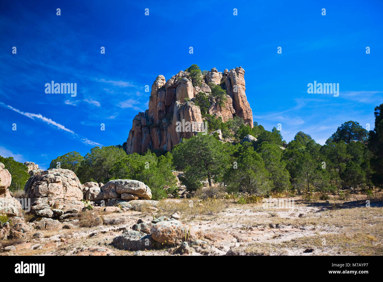 Low angle view of a rock formation, Sierra De Organos, Sombrerete, Zacatecas State, Mexico Stock Photo