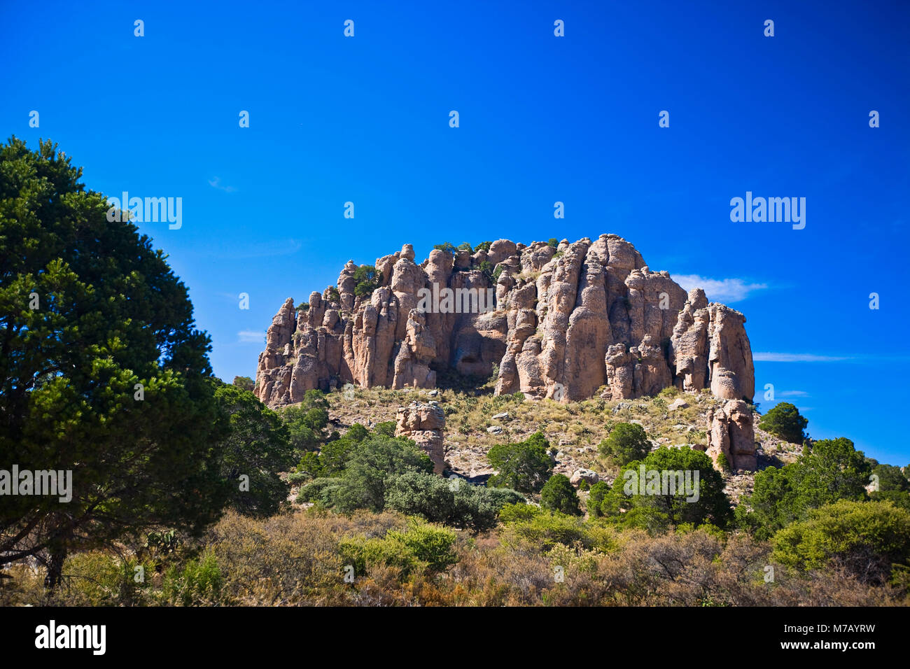 Low angle view of a rock formation, Sierra De Organos, Sombrerete, Zacatecas State, Mexico Stock Photo