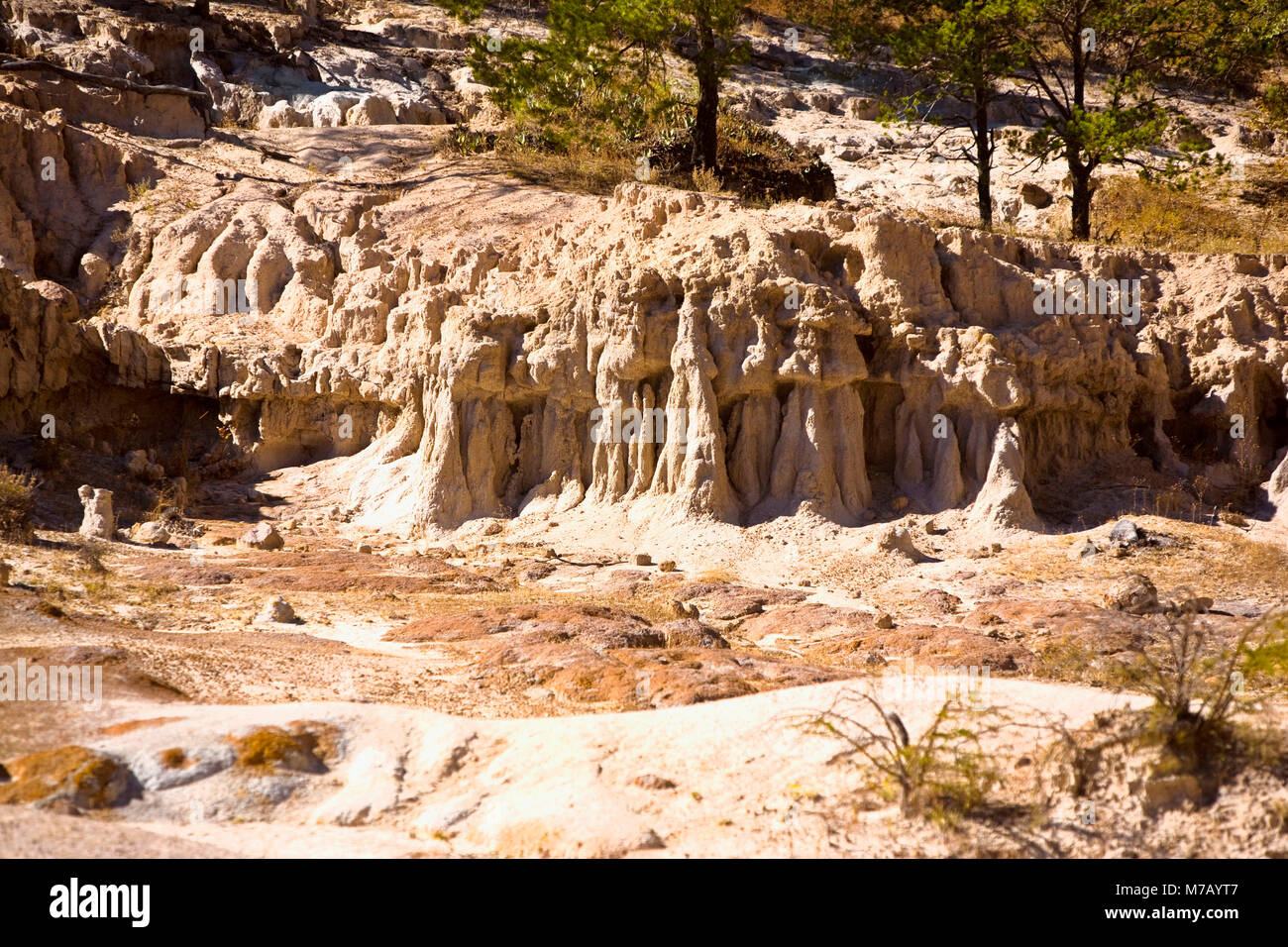 Rock formations on a landscape, Sierra De Organos, Sombrerete, Zacatecas State, Mexico Stock Photo