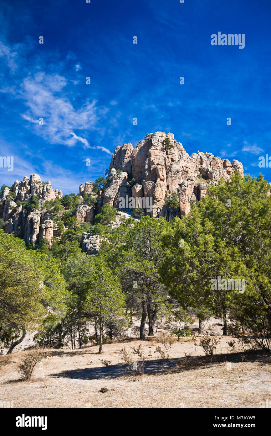 Low angle view of trees in front of rock formations, Sierra De Organos, Sombrerete, Zacatecas State, Mexico Stock Photo