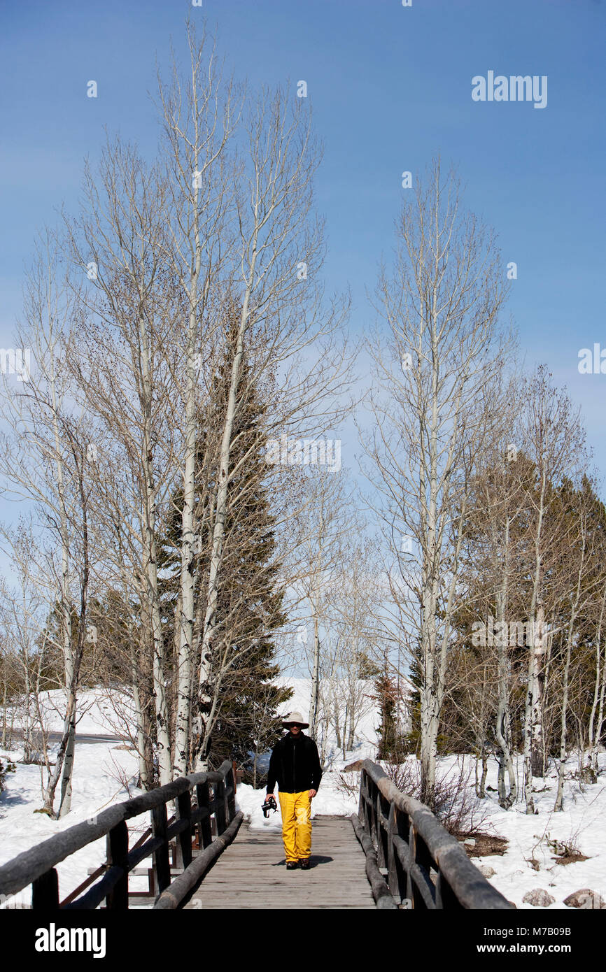 Hiker walking on a bridge, Yellowstone National Park, Wyoming, USA Stock Photo