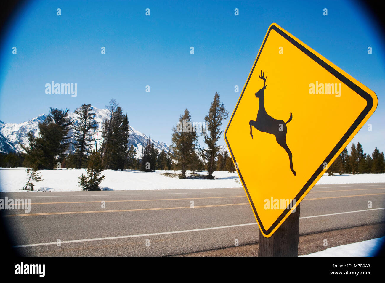 Deer Crossing sign at the roadside, Yellowstone National Park, Wyoming, USA Stock Photo