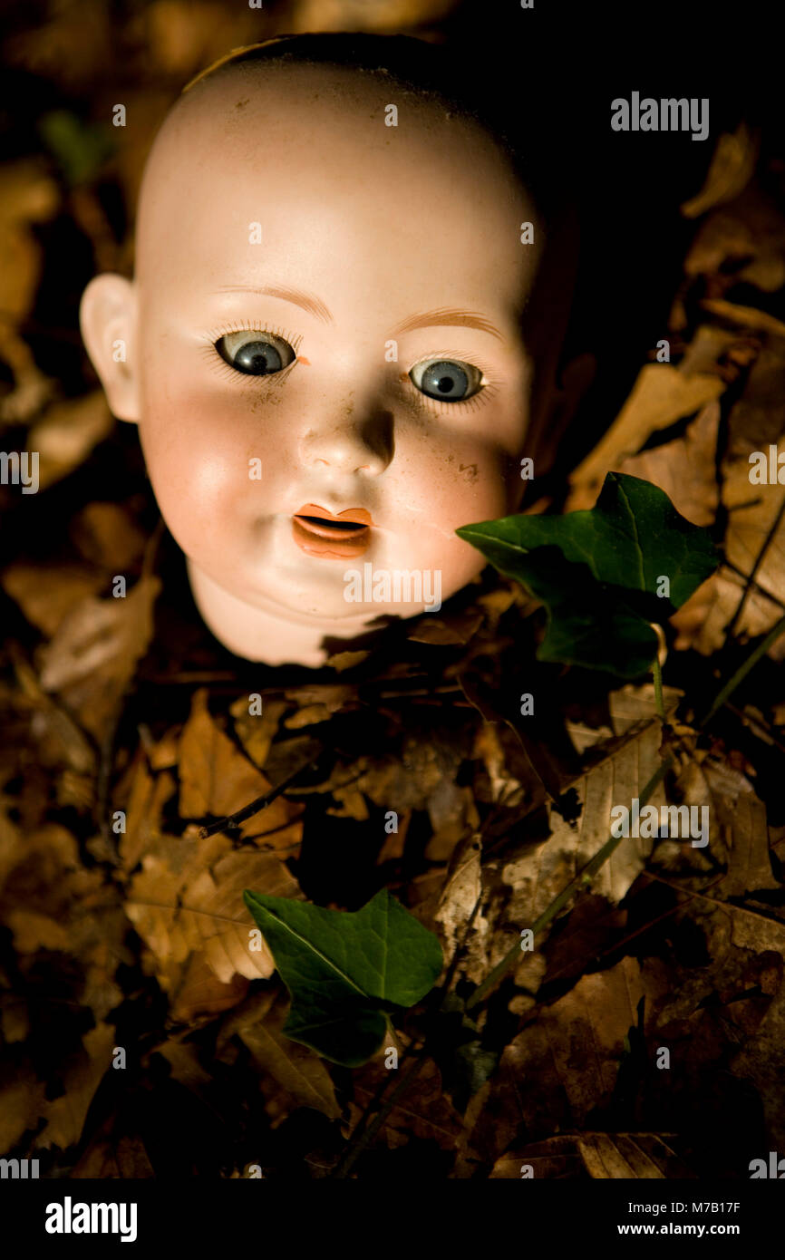 Close-up of a doll head in maple leaves, New York City, New York State, USA Stock Photo